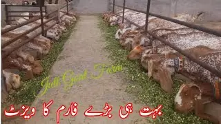 آج ہم نے ایک بہت بڑے فارم کا ویزٹ کیا اور ہم نے ان سے پوچھا کہ سردی میں کس طرح سے جانوروں کی دیکھ بھ