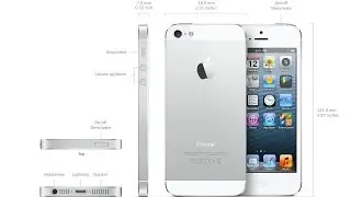 Apple IPhone 5 замена камеры