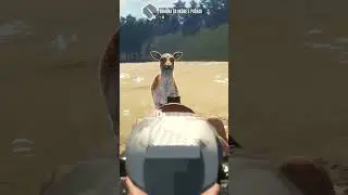 AGRESIVNÍ DANĚLA 😱  | theHunter: Call of the wild CZ |  Česky