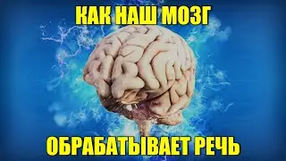 Как наш мозг обрабатывает речь