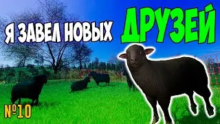 ОВЦЫ И ШЕРСТЬ НА ФЕРМЕ  / Farming Simulator 22 / СОСНОВКА