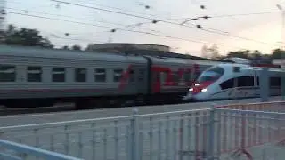 Сапсан. Бологое