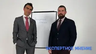 Экспертное мнение. М.С.Аронов