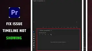 Timeline Not showing in Premiere Pro | how to show playhead position in hours minutes seconds