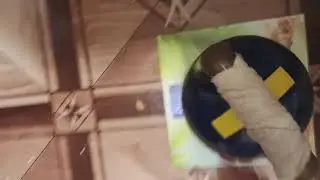 Эталон 14 кг, Контрольное взвешивание Гири 25 кг , проверка весов Чемпионской Уральской Гирей 14 кг.