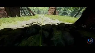 [The Forest] How to find the Cave Map and Compass