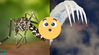 40 datos CURIOSOS que MUY seguramente te SORPRENDERÁN | ¡¡A que edad te enteraste de ESTO!!