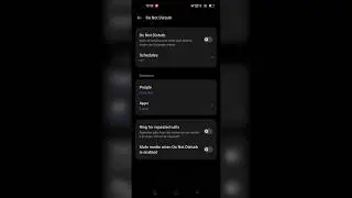 Realme 11 Pro / Plus DND mode settings