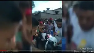 CARNAVAL DE BOA VISTA SJP