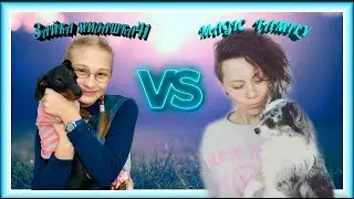 Сравнение MAGIC Family VS Зайка Милашка41