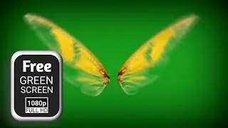 Fairy wings green screen flying effects | butterfly green screen | green screen fairy tale animation