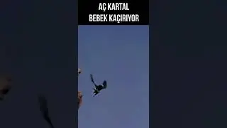 Fatma Girik'in Bebeğini Kaçırdılar #shorts