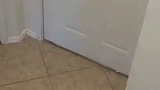 bruh