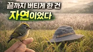 멈춰있는 풍경에서~