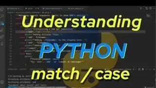 Python pattern matching type
