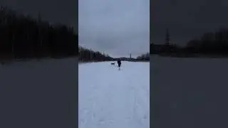 Заручились поддержкой гигантов 🐶 Прелестные Алтай и Кай