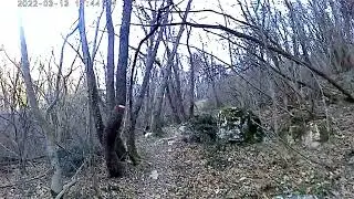 MTB 20220313 154310A risalita a mano TOSTA