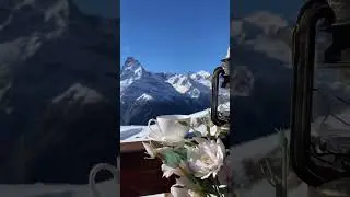 #приколы