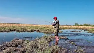ЛУГОВОЙ РУЧЕЙ УДИВИЛ! НАРВАЛСЯ НА КРУПНЯК В ЛУЖЕ! Это моя рыбалка
