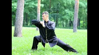 💙💛Fanziquan is a rotating fist or an inverted rotating fist. ROMAN BESEDIN