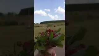 28 июня 2023 г.