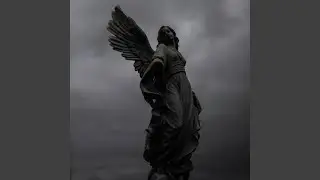 Absent Haven