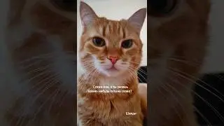 Скажи мне, а ты знаешь какие нибудь плохие слова? 😆 