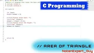 Find the Area of a Triangle  | C Programming |