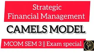 CAMELS MODEL || Strategic Financial Management || Mcom Sem 4