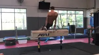 Pommel