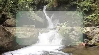 Kurban Bayramı Tebriği