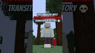 Best Minecraft Transition in History 