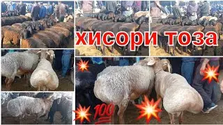 Нархи гусфанд  октября 2022 г.      молбозори Худжанд 🇹🇯