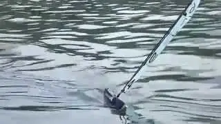 Dragon Force RG 65 (swing rig )