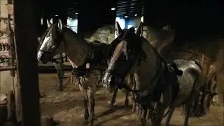Bursa Tofaş Müzesi