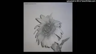 Sunburned Hand Of The Man ‎– The Parakeet Beat (Bjørn Torske Remix)