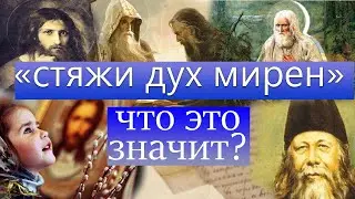 Что значит стяжать мирный дух?