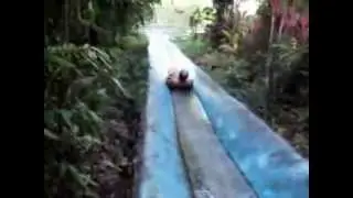 Tobogam