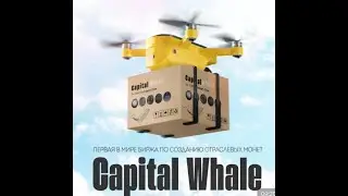 ПО ШАГОВАЯ РЕГИСТРАЦИЯ И ПРИВЯЗКА АКАУНТА ТЕЛЕГРАМ В CAPITAL WHALE