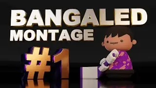 Bangaled Montage #1