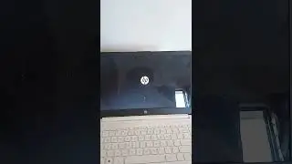 Bios update and reboot