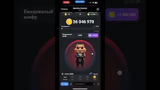 Новое Морзе в Hámster kombat на 11 июня