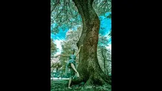 Edit Photo Efek IR Infrared Photoshop