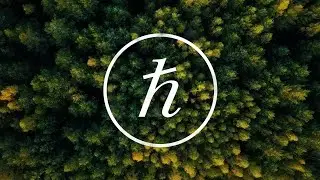 Hedera: Fueled by HBAR