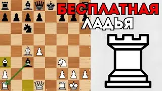 Съел Качество и остался без Ферзя