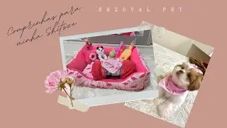 Comprinhas para minha Cachorrinha - Enxoval Pet