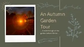 An Autumn Garden Tour: Walkthrough Before Winter Arrives