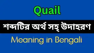 Quail Meaning in Bengali/Quail Mane Ki, Quail Explain in Bengali