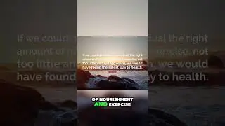 Dr. Mark Cucuzzella - The Safest Way to Health  Finding Balance in Nourishment and Exercise