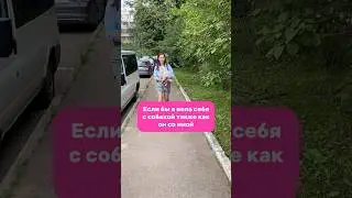 Поменялись местами. Spitzland тг 